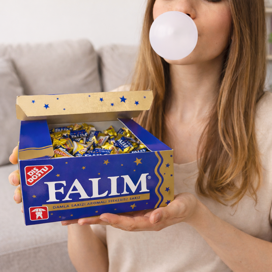 Chewing-gum sans Sucre 140g - FALIM